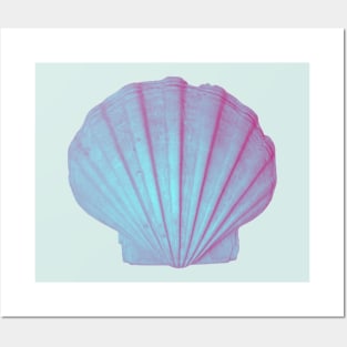 sea shell print Posters and Art